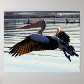 Poster diapositive (Devant)