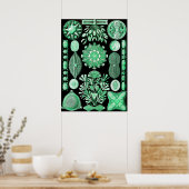 Poster Diatée verte, Diatomée (Cuisine)