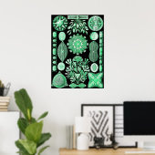 Poster Diatée verte, Diatomée (Bureau à domicile)