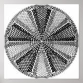 Poster Diatom 13 Ernst Haeckel Fine Art (Devant)