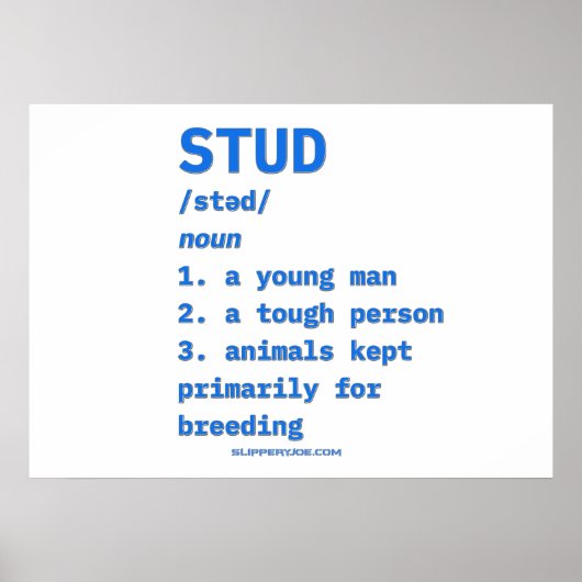 Poster Dictionnaire d'animaux de définition de type stud  (Devant)