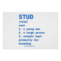 Dictionnaire d'animaux de définition de type stud