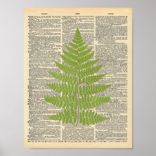 Poster Dictionnaire vintage Art Green Fern Frond Imprimer (Devant)