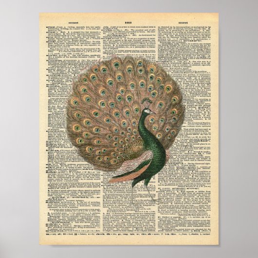 Poster Dictionnaire vintage Art magnifique Peacock Bird (Devant)