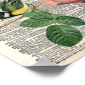 Poster Dictionnaire vintage rose et oiseau (Coin)