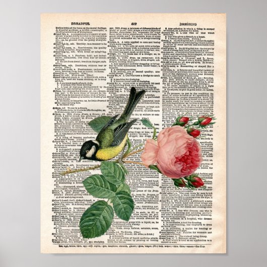 Poster Dictionnaire vintage rose et oiseau (Devant)