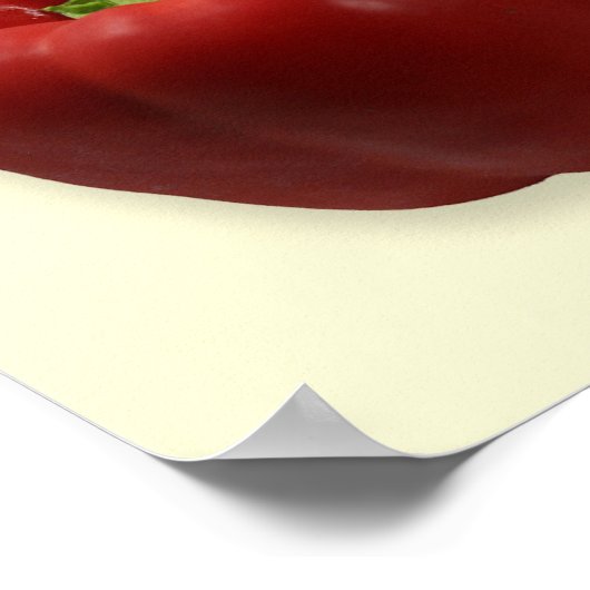 Poster d'identification Chili (Coin)