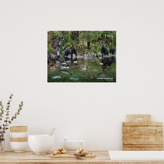 Poster d'identification de la forêt tropicale côti (Cuisine)