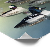 Poster d'identification de la sauvagine de l'Ouest (Coin)