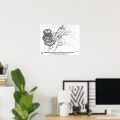 Poster Didymoceras stevensoni (Bureau à domicile)