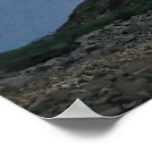 Poster Dientes de Navarino (Coin)