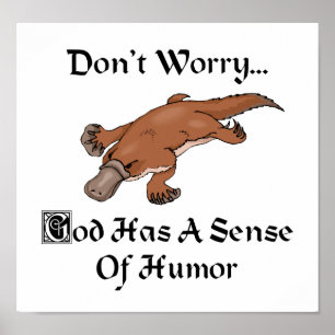 Poster Dieu a le sens de l'humour - Fun platypus