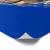 Poster Dieu bénisse l'Amérique (Coin)