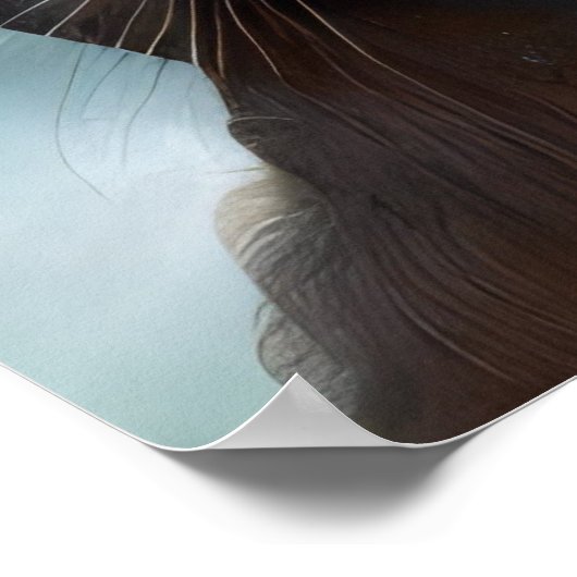 Poster Dieu du chat (Coin)