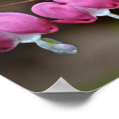 Poster Dieu est coeur d'amour (Coin)