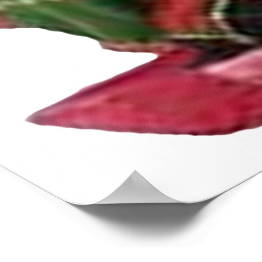 Poster Dieu hindou Ganesh Dieu prospérité dévotion respec (Coin)