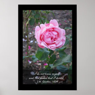 Poster Dieu interdisent que je devrais me connaître - la