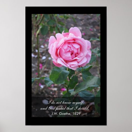 Poster Dieu m'interdit de me connaître - Goethe cite (Devant)