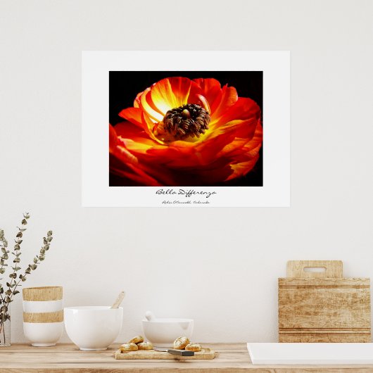 Poster Différence (avec nom) (Cuisine)