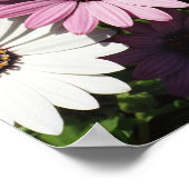 Poster Différent et beau (Coin)