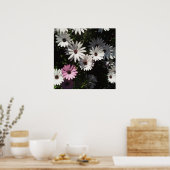 Poster Différent et beau (Cuisine)