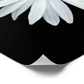 Poster Différentes fleurs de la famille Asteraceae. (Coin)