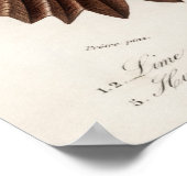 Poster Différents types de mollusques (Coin)