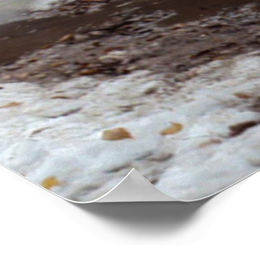 Poster Digby ! (Coin)