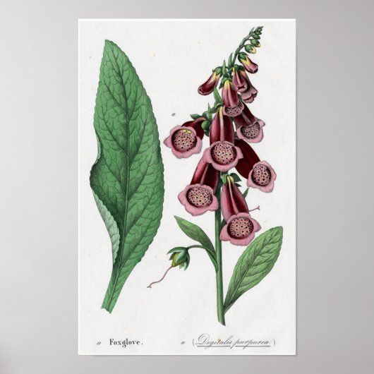 Poster Digitale (Devant)
