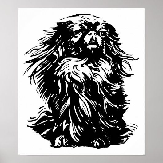 Poster Dignité Pekingese (Devant)