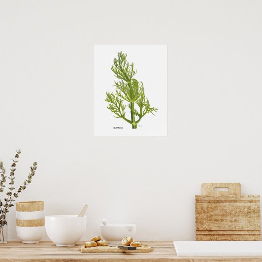 Poster Dill (Cuisine)