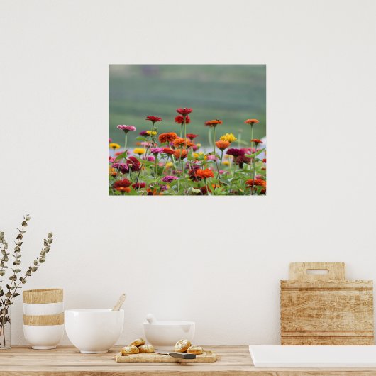 Poster Dillard Fields (Cuisine)