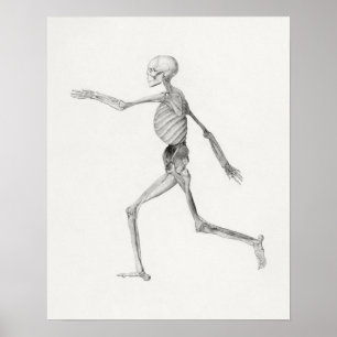 Poster d'illustration anatomique vintage