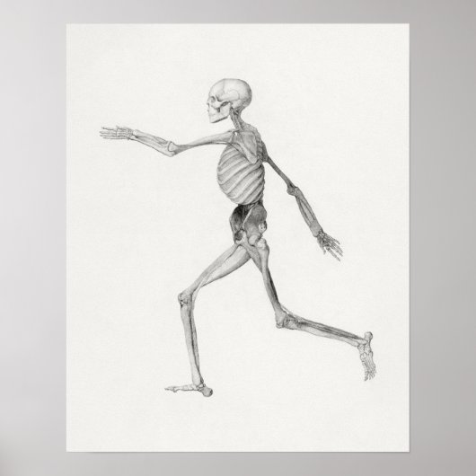 Poster d'illustration anatomique vintage (Devant)