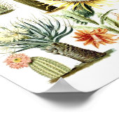 Poster d'illustration botanique de Cactus vintage (Coin)