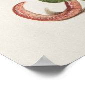 Poster d'illustration botanique vintage (Coin)