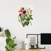 Poster d'illustration botanique vintage (Bureau à domicile)