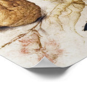 Poster d'illustration botanique vintage (Coin)