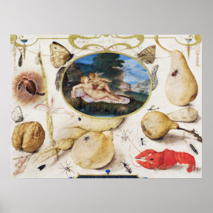 Poster d'illustration botanique vintage