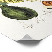 Poster d'illustration botanique vintage (Coin)