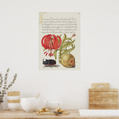 Poster d'illustration botanique vintage (Cuisine)