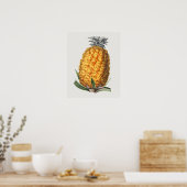 Poster d'illustration botanique vintage (Cuisine)