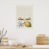 Poster d'illustration botanique vintage (Cuisine)