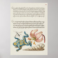 Poster d'illustration botanique vintage