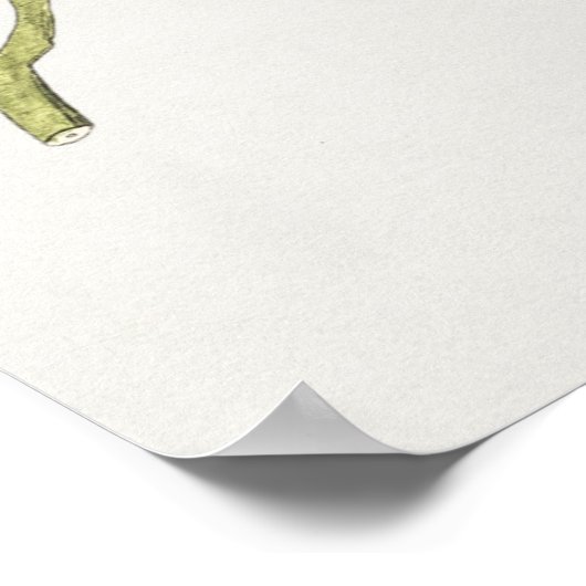 Poster d'illustration botanique vintage (Coin)