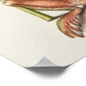 Poster d'illustration botanique vintage (Coin)