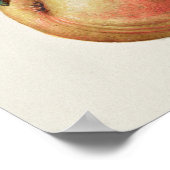 Poster d'illustration botanique vintage (Coin)