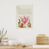 Poster d'illustration botanique vintage (Cuisine)