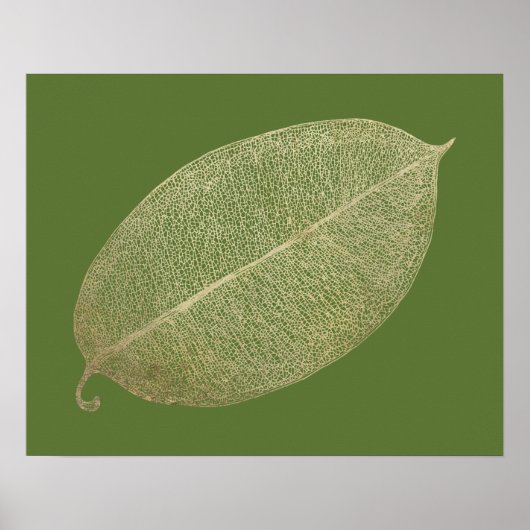 Poster d'illustration de la grille de feuille d'or (Devant)