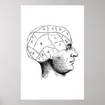 Poster d'illustration de l'anatomie de tête